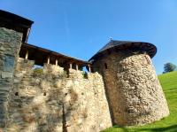 20240922_160056 (1024x767).jpg